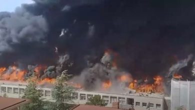 Photo of Përfshihet nga flakët Fakulteti i Bujqësisë në Itali (VIDEO)