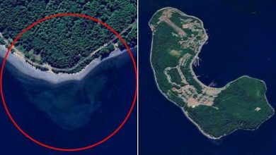 Photo of Përdoruesit e Google Maps janë të habitur pasi kanë parë një kafkë misterioze në brigjet e një ishulli kanadez