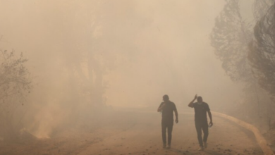 Photo of Ballkani përballet me zjarre