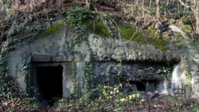 Photo of Zvicra planifikon të modernizojë rreth 8000 bunkerë të vjetër në të gjithë vendin