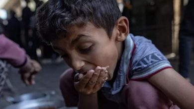 Photo of OKB: Një në tre persona në Gaza kalon ditë pa ushqim