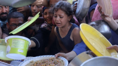 Photo of “Një në dhjetë fëmijë në Gaza është i kequshqyer”, OKB: Furnizimet po mbarojnë me shpejtësi