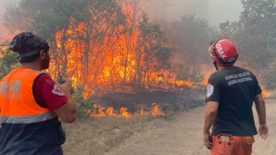Photo of Turqi, zjarri u merr jetën 11 rojeve të pyjeve