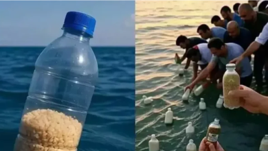 Photo of VIDEO/ Egjiptianët hodhën ushqim me shishe në det për Gazën, ndihma simbolike mbërrin te palestinezët