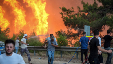 Photo of Turqi, tre persona humbin jetën në përpjekje për shuarjen e zjarreve