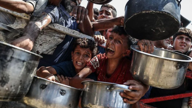Photo of Bandat vjedhin ndihmat në Gaza, shumë pak shpërndahen tek palestinezët