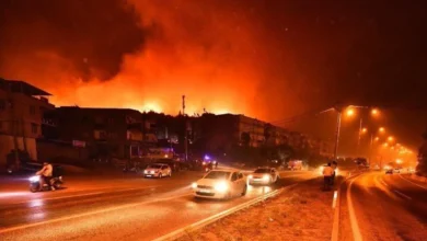 Photo of Zjarr i madh në Turqi, 11 roje pylli humbin jetën duke luftuar me flakët