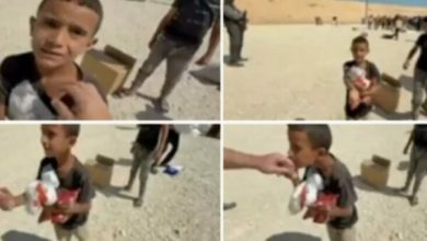 Photo of Djaloshi palestinez eci 12 km për të marrë ndihma – puthi dorën e amerikanit në shenjë falënderimi, më pas e vranë forcat izraelite (VIDEO)