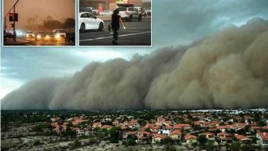 Photo of Arizona mbulohet nga një mur i trashë pluhuri (VIDEO)
