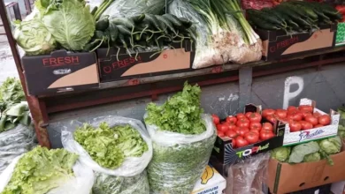 Photo of Blerja dhe shitja e produkteve bujqësore 3,6 miliardë denarë, janë rritur për 7,2 për qind