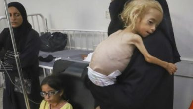 Photo of 11 palestinezë të tjerë vdesin nga uria në Gaza, numri total arrin në 300