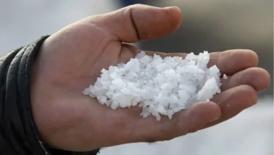 Photo of Si një këshillë e gabuar e inteligjencës artificiale ndryshoi jetën e një burri në SHBA