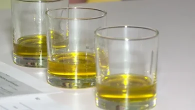 Photo of Tregu i hapur energjetik, “fluturon” çmimi i vajit