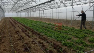 Photo of EEA: Në Maqedoninë e Veriut ekziston mbështetje institucionale për të përmirësuar mbrojtjen e mjedisit jetësor