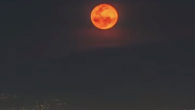 Photo of HËNA DO TË SHFAQET E KUQE