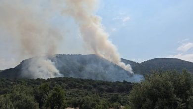 Photo of QMK: Deri në orën 18:00, gjithsej 14 zjarre në zona të hapura, 8 prej të cilave janë aktive