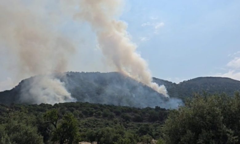 QMK  Deri në orën 18 00  gjithsej 14 zjarre në zona të hapura  8 prej të cilave janë aktive