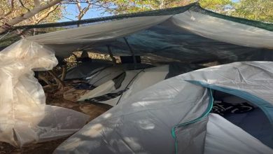 Photo of Shkatërrohet organizata e drogës në Greqi, mes tyre 5 shqiptarë, arrinin fitim deri në 8 milionë euro