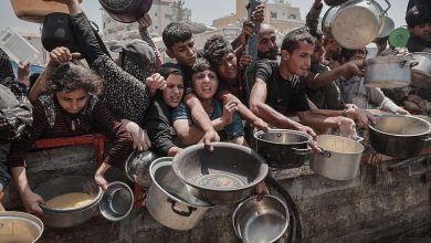 Photo of Kriza shëndetësore në Gaza do të zgjasë për breza, thotë shefi i OBSH-së