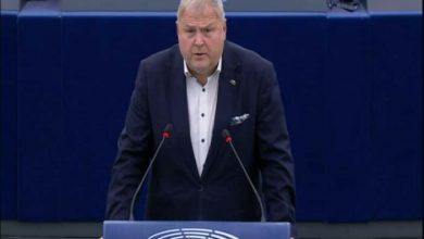 Photo of Eurodeputeti Terras: Ndërhyrja e Serbisë në zgjedhjet lokale të Kosovës, e papranueshme