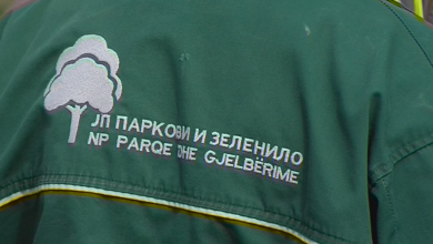 Photo of RRETH 800 PUNËTORË TË “PARQEVE DHE GJELBËRIMIT”: Tre muaj pa rrogë dhe pa sigurim shëndetësor