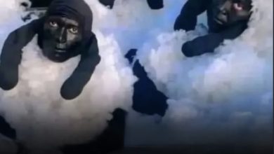Photo of 3 persona në Algjeri janë arrestuar duke tentuar të hynin në spanjë si dele
