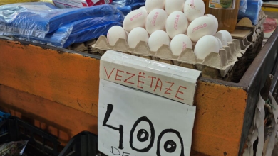 Photo of 400 denarë një pako me vezë! Çmimi i ushqimit për pulat po i shtrenjton vezët