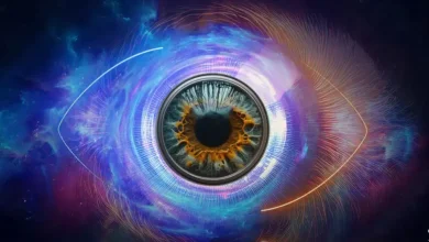 Photo of Surprizë e madhe, ja kush futet sonte në Big Brother VIP Albania