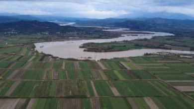 Photo of Shërbimi Meteorologjik Ushtarak bën të ditur se vendi ynë do të ndikohet gjatë ditës së sotme nga kushte atmosferike të paqëndrueshme. Moti parashikohet me vranësira mesatare deri të dendura si dhe intervale kthjellimesh. Nga orët e para të ditës dhe deri në orët e vona të pasdites, parashikohen reshje shiu të herëpashershme me intensitet të ulët e lokalisht mesatar në formë shtrëngatash. Pas orëve të pasdites dhe orët e vona të mbrëmjes, parashikohet reshje shiu me intensitet mesatar në të gjithë territorin ndërsa në zonën e jugut reshjet me intensitet mesatar dhe të lartë në formën e shtrëngatave shoqëruar me shkarkesa elektrike. Era do të fryjë me drejtim nga kuadrati i jugut shpejtësi mesatare deri në 7m/sek, e cila hera-herës përgjatë vijës bregdetare dhe në momentin e zhvillimit të vranësirave pritet të fitojë shpejtësi deri 15 m/sek , me valëzimin në dete të forcës 3-4 ballë. Temperaturat parashikohen: QYTETET Temperaturat Siglat Shkodër 10/19 Re shi diell Kukës 5/15 Re shi diell Lezhë 10/20 Re shi diell Dibër 9/15 Re shi diell Durrës 10/19 Re shi diell Tiranë 12/20 Re shi diell Elbasan 9/20 Re shi diell Berat 12/20 Re shi diell Vlorë 11/22 Re shi diell Korçë 6/14 Re shi diell Gjirokastër 9/19 Re shi diell Sarandë 12/21 Re shi diell 0 koment 0 D. V. Postimi i mëparshëm Në vendkalimet kufitare nuk ka vonesa për hyrje dhe dalje Postimi i radhës Ekspozitë e qilimave tradicionalë e bashkëkohorë në GAT TË REKOMANDUARA Kuvendi miraton pas mesnate me 83 vota pro… 11/20/2025 9:27 am Begaj takohet me presidentin çek, e falënderon për… 11/19/2025 4:49 pm ARRSH: Intensiteti i reshjeve në rënie, akset rrugore… 11/20/2025 10:13 am Teknologjia digjitale, nënshkruhet marrëveshja mes TEDA-s dhe kompanisë… 02/28/2025 11:39 am Vengu: Rritje e pagave të ushtarakëve në 2026-ën 11/19/2025 3:18 pm Rama: Rritja e pagave e pensioneve është rezultat… 11/19/2025 3:20 pm Ibrahimaj: Plan masash për nxitjen e pagesave digjitale,… 11/19/2025 3:21 pm Kumbaro në Konferencën e Italofonisë: Gjuha italiane, urë… 11/19/2025 3:19 pm Tabaku: Raportimi në komisione për buxhetin, vetëm në… 11/18/2025 12:26 pm 21 Janari, ish-kryeministri Berisha paraqitet në SPAK 11/19/2025 10:10 am Postimet e fundit ARRSH: Intensiteti i reshjeve në rënie, akset rrugore të hapura 11/20/2025 10:13 am Shtetasja italiane kapet me lëndë narkotike dhe para të falsifikuara në Han të Elezit, përfundon në ndalim prej 48 orësh 11/20/2025 10:12 am Botërori 2026, Shqipëria dhe Kosova njohin sot rivalët në “Play-off” 11/20/2025 10:11 am Disa këshilla për flokët e ngjyrosur 11/20/2025 10:09 am Tragjike: Rryma ia merr jetën një punëtori në Obiliq 11/20/2025 10:08 am Ekonomi Mbështetje financiare për bujqësinë: Hapet thirrja për pagesa direkte shtesë 11/19/2025 10:02 am Adresa zyrtare e BQK-së tani është Rruga “Luan Haradinaj” 11/18/2025 8:04 pm FSHZH shpall fituesin për inkubatorin e biznesit në arkitekturë dhe ndërtim në Tiranë 11/18/2025 8:03 pm Vonesa në miratimin e draft-rezolutës për veprimtarinë e AMF, Braçe: Dua të besoj që është burokraci e Kuvendit, jo… 11/18/2025 8:02 pm Analiza VLEN fitues në zgjedhje lokale por ende dobët në qeveri! 11/19/2025 11:00 am BDI-ja mund të rikthehet fuqishëm vetëm pas çlirimit nga Aleancat që në emër të ndihmës e dëmtuan! 11/18/2025 11:01 am Pse Lëvizja Besa është partia më e fuqishme dhe më e konsoliduar brenda VLEN-it? 11/16/2025 4:35 pm Çfarë u diskutua në takimin VMRO-VLEN? 11/14/2025 11:00 am Maqedonia e Veriut Më shumë shi ka rënë në Krushevë, temperaturat më të ulëta janë matur në Mavrovë 11/20/2025 10:06 am Në vendkalimet kufitare nuk ka vonesa për hyrje dhe dalje 11/20/2025 9:24 am Disa pjesë të Shkupit sot pa energji elektrike 11/20/2025 9:01 am Komunikacioni në Maqedoni po zhvillohet në rrugë me lagështi 11/20/2025 9:00 am Kronikë e Zezë Shtetasja italiane kapet me lëndë narkotike dhe para të falsifikuara në Han të Elezit, përfundon në ndalim prej 48 orësh 11/20/2025 10:12 am Tragjike: Rryma ia merr jetën një punëtori në Obiliq 11/20/2025 10:08 am Substanca narkotike e para, arrestohet shtetasja italiane në pikën kufitare Han i Elezit 11/20/2025 10:07 am Arrestohet i dyshuari për fajde R.G, kapet në momentin kur po kryente veprën 11/20/2025 9:31 am Kush jemi ne Zhurnal.mk është Agjenci e Lajmeve e pavarur, e themeluar në vitin 2009, që e mbulon Maqedoninë, Kosovën, Shqipërinë edhe lajmet nga bota. 8 Udarna Brigada 20b, Shkup RMV. Phone: +389 (2) 3217 815 Email: info@zhurnal.mk Kontakt / Marketing Rreth nesh Marketingu Kontakt Reklamim në Ueb Reklamin ne rrjetet sociale Marketing Dizajnim reklamash Video Reklama Nyje lidhëse Politika e privatësisë Kushtet e Përdorimit Informata personale Ndjekja e të Dhënave Regjistro një llogari të re @2009-2024 – Developed by Anet.com.mk Agjencia e Lajmeve – Zhurnal.mk Maqedoni Rajon Bota Analiza ED / OP Ekonomi Kronika Sport Showbizz +Më tepër.. MK