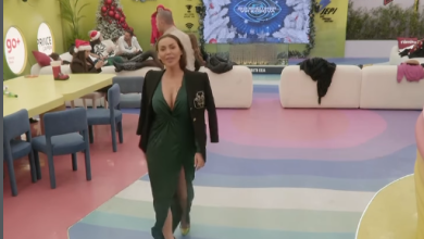 Photo of “Ke dhez me cullakhane, tu e reklamu gjoksin”, s’ndalen përplasjet mes Labit dhe Fjollës (VIDEO)