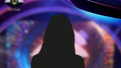 Photo of Zbulohet dyshja e re që merr drejtimin e “Big Brother VIP: Fan Club”