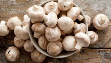 Photo of Studim japonez: Konsumi i kërpudhave ul rrezikun e kancerit të prostatës