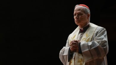 Photo of Papa Leoni kritikon Trumpin për “përpjekjen për të shpërbërë” aleancën SHBA-Evropë