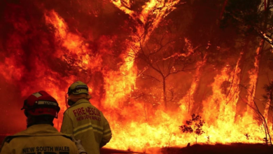 Photo of Australia në flakë, regjistrohet viktima e parë dhe mbi 90 vatra zjarri