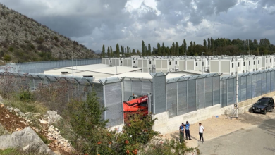 Photo of Parashikohet ngritja e 20 qendrave pritëse në Korçë, Vlorë dhe Gjirokastër për emigrantët nga Azia