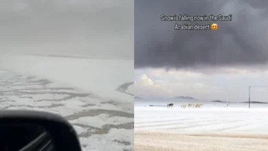 Photo of E rrallë: Shkretëtira e Arabisë Saudite zbardhet nga bora