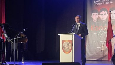 Photo of Kurti: Zona e Llapit i dha Kosovës grupin e Zahir Pajazitit, frymëzim i luftës çlirimtare