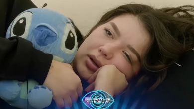 Photo of “Nuk ia dhuroi”, Bia thotë se Alba ia vodhi “stitchin” Limit (VIDEO)