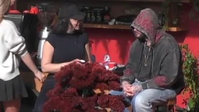 Photo of “Po s’fitove do kesh probleme”, Limi e paralajmëron Albën (VIDEO)