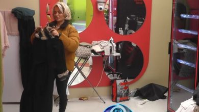 Photo of Ludo pyet Dolcen: A më do që jam facer apo rrezikant? (VIDEO)