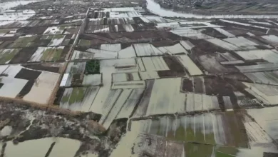 Photo of LIVE/ Pamje apokaliptike nga përmbytjet. Situatë kritike në Durrës, bllokohet Gjirokastër- Tepelenë. Protesta në Shkozet, rritet niveli i Drinit dhe Bunës
