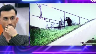 Photo of Momenti kur Kristi kapërcen murin e shtëpisë, Ledioni: Mos bëni diçka që e kemi parë sezonin e kaluar