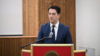 Photo of Zëvendëskryeministri i Parë, Bekim Sali, merr pjesë në Ditën Ndërkombëtare të Gjuhës Amtare