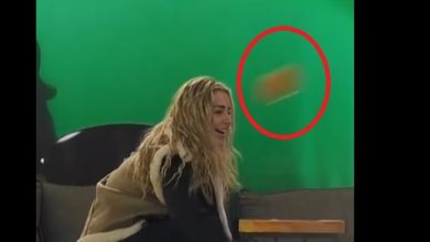 Photo of Incident në BBVK, goditet Elijona, ja nga kush! (VODEO)