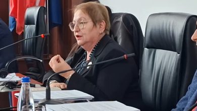 Photo of A mashtroi ministrja Janevska: Dy propozim-ligje për cilësinë dhe shkencën janë hartuar nga vetëm 8 persona, jo nga 60 profesorë!