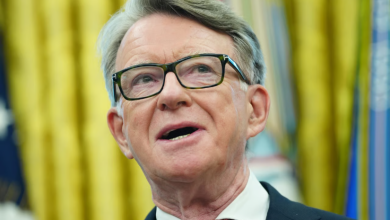 Photo of Mandelson jep dorëheqjen nga Partia Laburiste pas pretendimeve të reja për lidhjet me Epsteinin