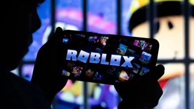 Photo of Egjipti zyrtarisht bllokon Roblox-in, duke përmendur rreziqet për fëmijët