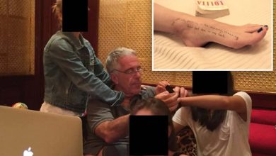 Photo of Përmendet 43 herë në dokumente, kush është shqiptari me mbiemër Berisha në dosjen “Epstein”