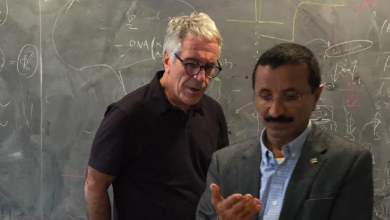 Photo of “Bisedat vulgare, supermodelet dhe pëlhura e shenjtë”/ Si Sulayem dhe Epstein luanin me fuqinë dhe luksin