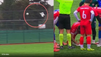Photo of Turqi, futbollistët shpëtojnë pulëbardhën e goditur nga topi…por humbasin ndeshjen